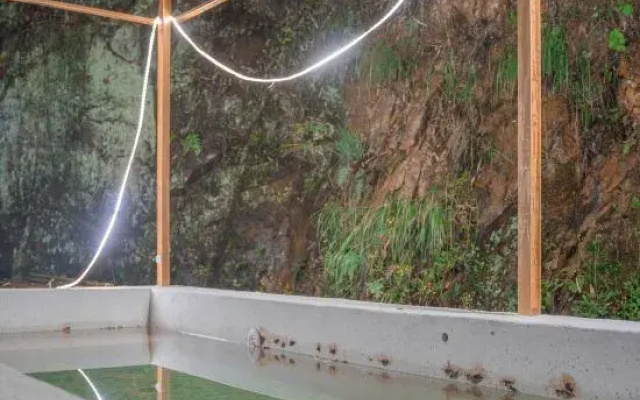 Translation: Tingjian · Moganshan | Forest Oxygen Private Hot Spring Resort Homestay