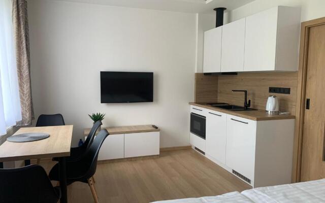 Wellness & Spa Apartments Lipno - Frymburk