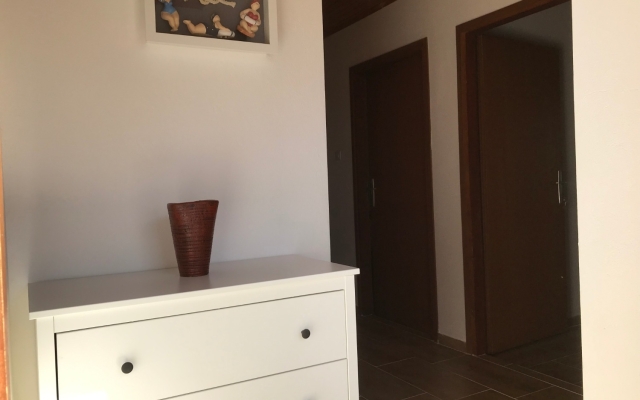 Apartment Petar - 30 m from sandy beach: A1 Nin, Zadar riviera