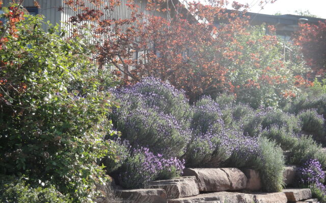 Delatite Apartments Merrijig