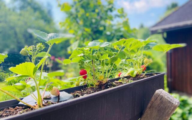 Ferienhof Alte Wildmeisterei - Fewo Gartenblick