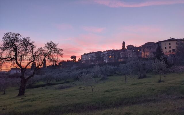 Cipresso e Pietra