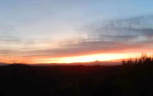 The Grape Pergola House