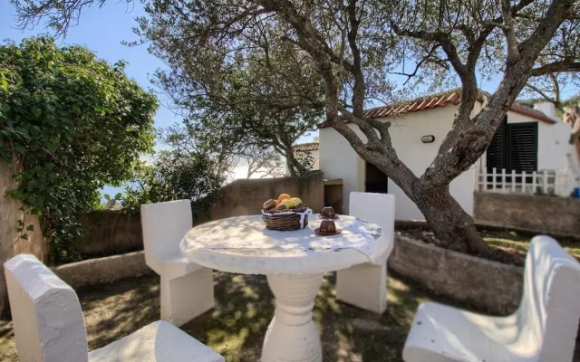 Scogliera del Gabbiano