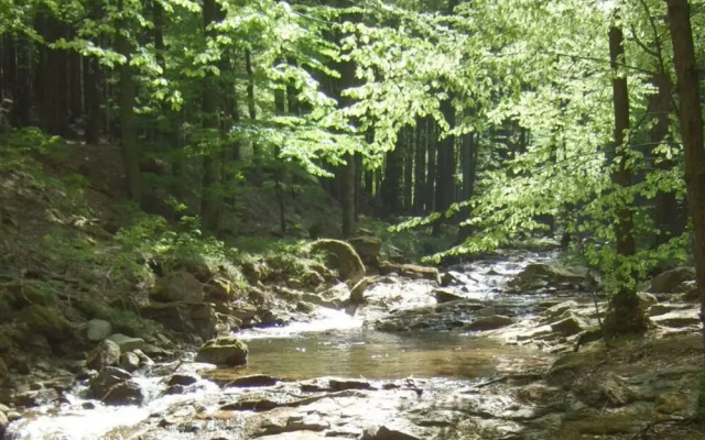 Brocken Chalet No. 19