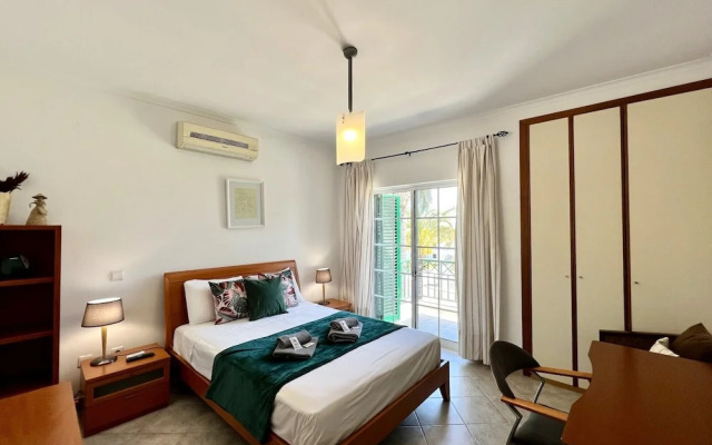 Tavira Palm Tree by Homing