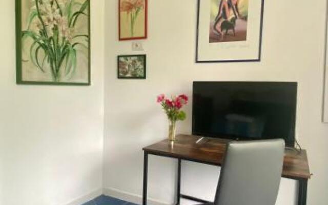 Villa Striano Capri - Guest House - Rooms Garden & Art