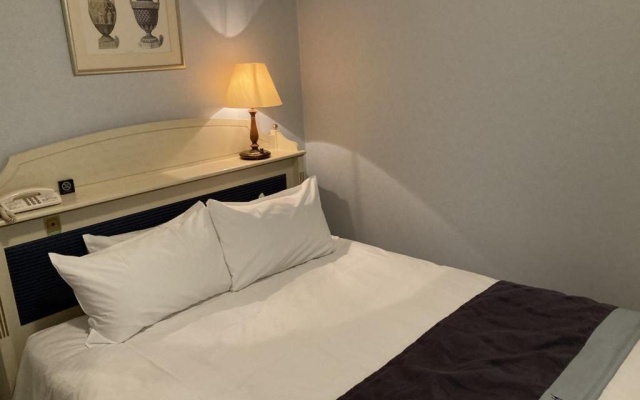 Donau Classic Double room (풀 더블 침대) 사진 1