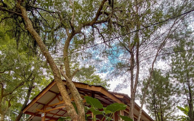 New Green Sentul Resort
