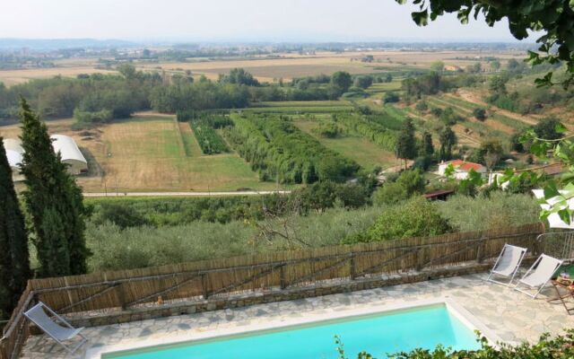 Maestraccio (BUT160)