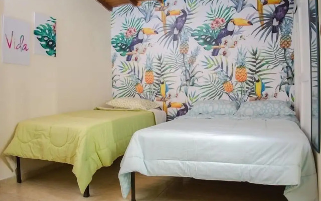 Hostal Pura Vida La 70