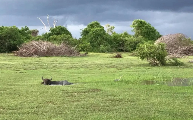 Sakura Cherry Blossom Culture Center & Hotel