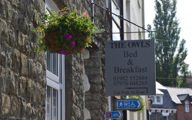 The Owls
