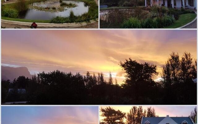 Chevandeaux 1 - Merlot