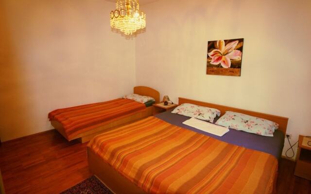 House Vlada