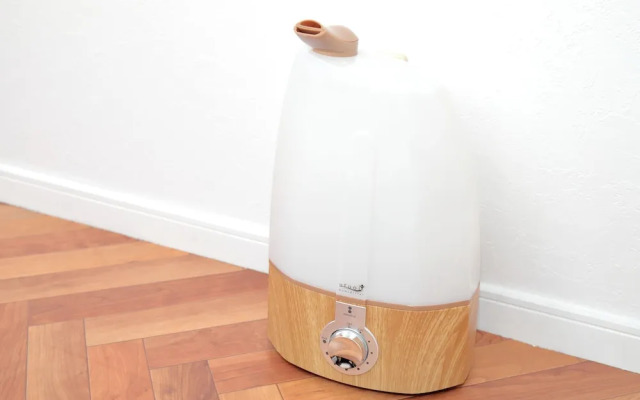 Vivid Zebra House - 197-1