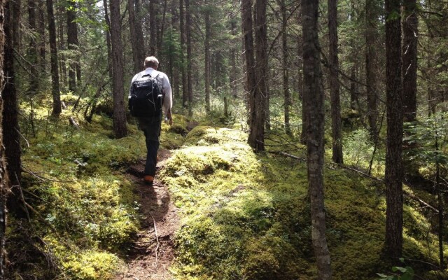 Auberge Jeunesse Monts Groulx Aventure