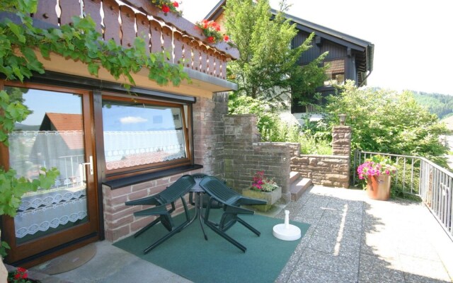 Cosy Apartment in Baiersbronn with terrace and garden