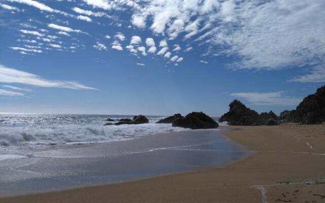 Departamento en Algarrobo Norte