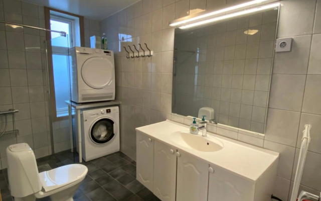 Nice central appartment