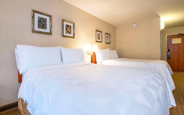 Holiday Inn Hotel & Conference Centre