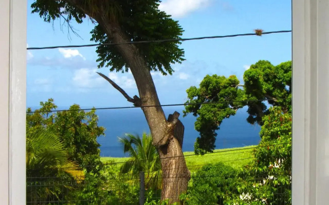 Or bleu-Bungalow volcan Soufriere-Vue sur mer