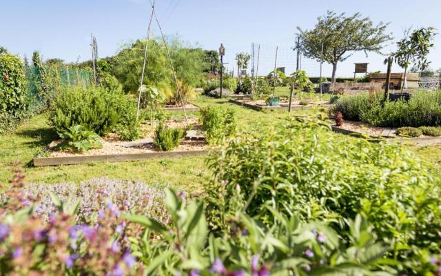 Domaine du Limonay, The Originals Collection