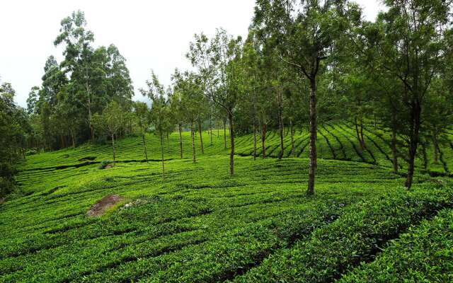 Fort Munnar