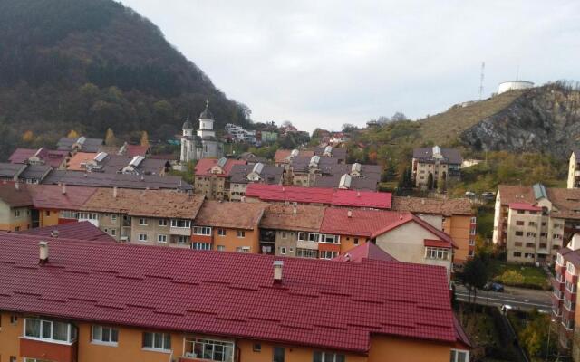 Apartament Viorea