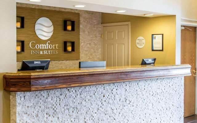 Comfort Inn & Suites near Tinley Park Amphitheater