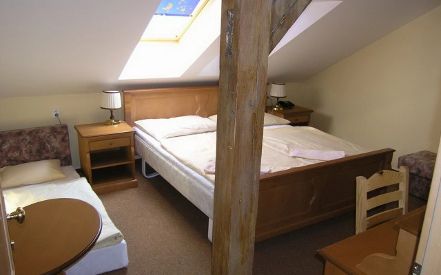 Pension Brezina Prague