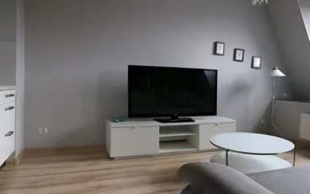Super Apartamenty City Center