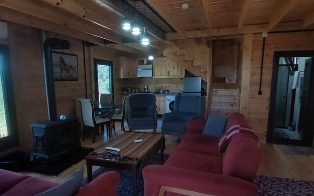 Trabzon Çamlıca Bungalov