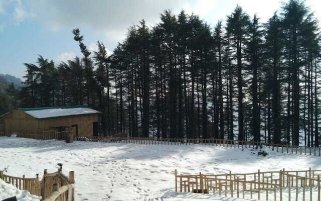 Junglee Camps & Resort