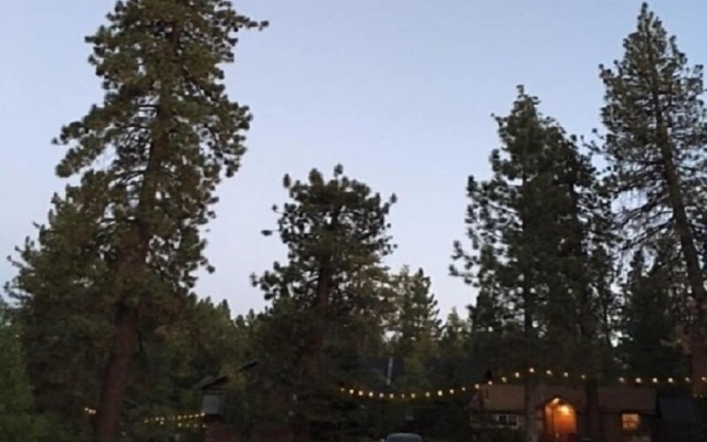 Golden Bear Cottages