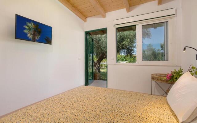 Ionian homm Palm Villa w/ Pool 15ppl in Zante