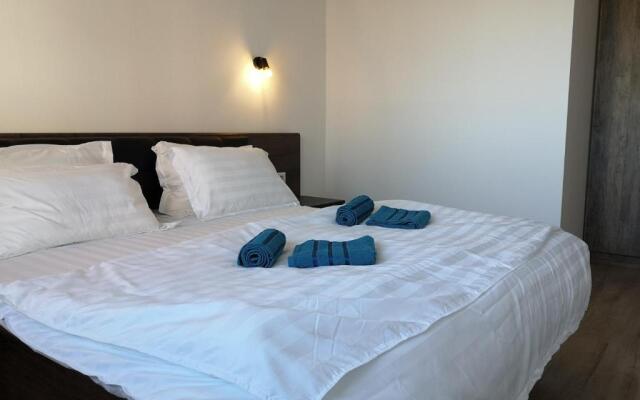 Ared-Atrium Mall ChrysFlatty 3 Premium apartment 60mp