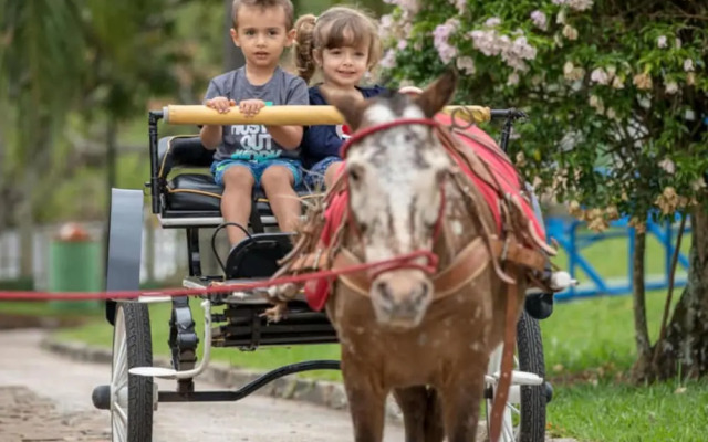 Parque Hotel Pimonte