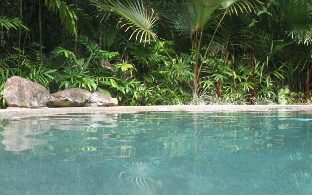 Daintree Rainforest Retreat