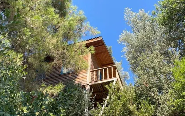 Günes Holiday