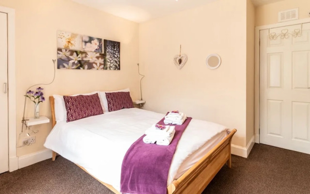 Mycosy Lorimer 17