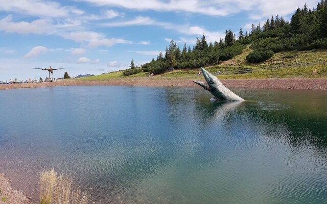 Apartment in Kirchdorf Near Ski Slopes