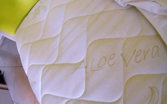 Casablanca Bed & Breakfast