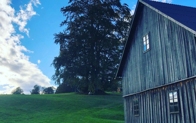 Das Haus am Berg: Nestelberg17