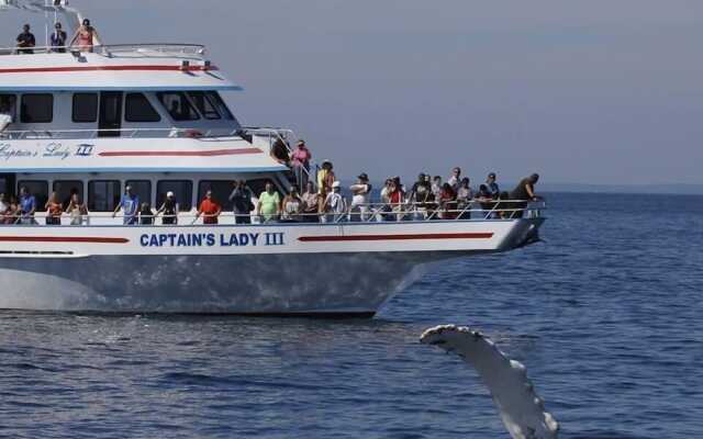 Preferred Two Bedroom Suite