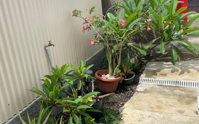 Bungalow Pamatai