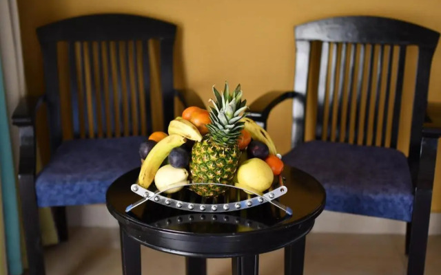 Xperience Kiroseiz Premier