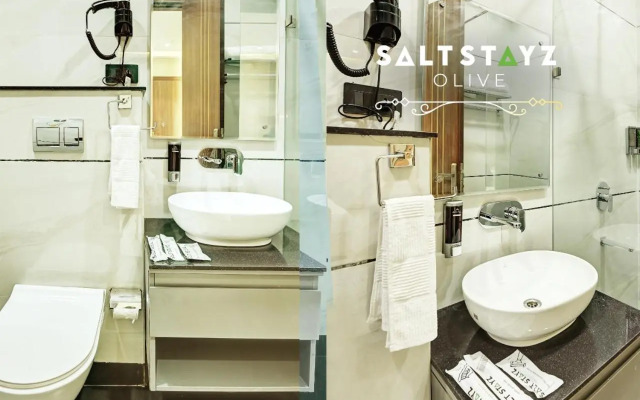 Saltstayz Select - Pitampura