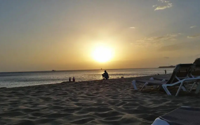 The Paradise On The Ocean 7