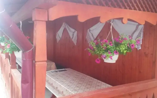 Pensiunea Adi Sapinta